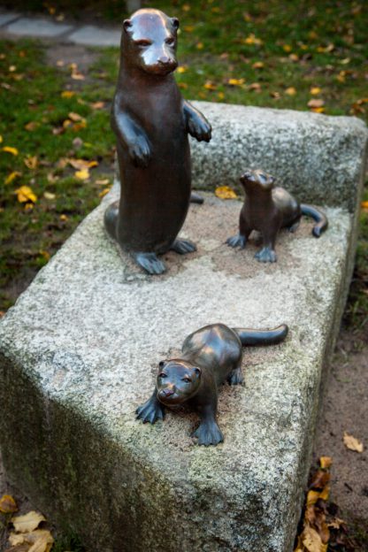 Otter-Familie
